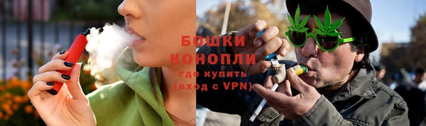 тгк Нея