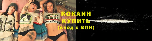 тгк Нея