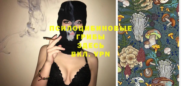 мдпв Нефтегорск