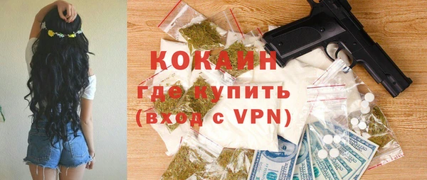 тгк Нея
